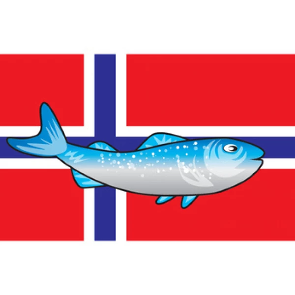 Irlandlachs aus Norwegen Lachs - Premium
